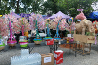 คณะศึกษาศาสตร์ มช. เป็นเจ้าภาพทอดกฐินสามัคคี เพื่อสมทบทุน สร้างพระวิหารและบูรณปฏิสังขรณ์ วัดป่าจำปาราว (ร้าง)