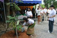 คณะศึกษาศาสตร์ มช. เป็นเจ้าภาพทอดกฐินสามัคคี เพื่อสมทบทุน สร้างพระวิหารและบูรณปฏิสังขรณ์ วัดป่าจำปาราว (ร้าง)