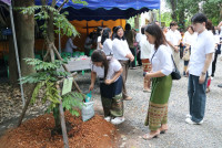 คณะศึกษาศาสตร์ มช. เป็นเจ้าภาพทอดกฐินสามัคคี เพื่อสมทบทุน สร้างพระวิหารและบูรณปฏิสังขรณ์ วัดป่าจำปาราว (ร้าง)