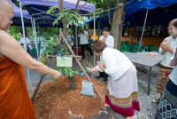 ทอดกฐิน มช. 68