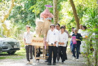 ทอดกฐิน มช. 68