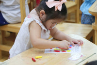 Thai & International Day 2025