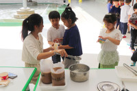 Thai & International Day 2025