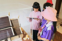 วิถีชีวิตกับเรือนโบราณ ป.1/2568