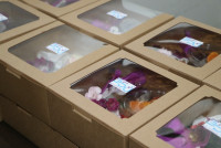 คณะศึกษาศาสตร์ มช. ให้การต้อนรับผู้บริหารและบุคลากรสายสนับสนุน คณะศิลปศาสตร์ มหาวิทยาลัยพะเยา เข้าศึกษาดูงานด้าน EdPEx