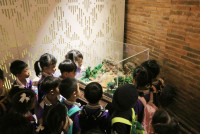 รอบเมืองเชียงใหม่ อ.2/2568