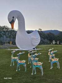 ผู้บริหารศึกษาศาสตร์ มช. ร่วมแถลงข่าว {มนต์เสน่ห์เชียงใหม่ เมืองดอกไม้งาม 2026} เตรียมสัมผัสความอลังการปลายปีนี้