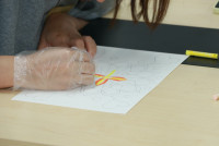 ศึกษาศาสตร์ มช. จัด Workshop สีสัน อารมณ์ และการดูแลใจ เสริมเกราะป้องกันทางใจให้นักศึกษายุคใหม่