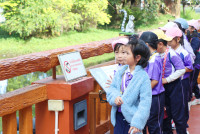 ท่องโลกสัตว์ ณ เชียงใหม่ไนท์ซาฟารี ป.1