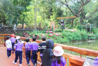 ท่องโลกสัตว์ ณ เชียงใหม่ไนท์ซาฟารี ป.1