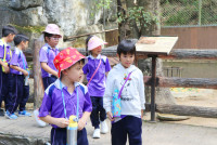 ท่องโลกสัตว์ ณ เชียงใหม่ไนท์ซาฟารี ป.1