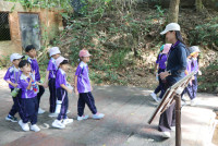 ท่องโลกสัตว์ ณ เชียงใหม่ไนท์ซาฟารี ป.1