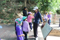 ท่องโลกสัตว์ ณ เชียงใหม่ไนท์ซาฟารี ป.1