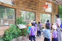 ท่องโลกสัตว์ ณ เชียงใหม่ไนท์ซาฟารี ป.1