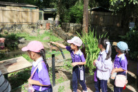 ท่องโลกสัตว์ ณ เชียงใหม่ไนท์ซาฟารี ป.1