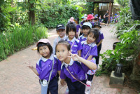 ท่องโลกสัตว์ ณ เชียงใหม่ไนท์ซาฟารี ป.1