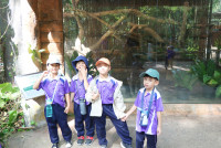 ท่องโลกสัตว์ ณ เชียงใหม่ไนท์ซาฟารี ป.1