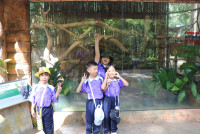 ท่องโลกสัตว์ ณ เชียงใหม่ไนท์ซาฟารี ป.1