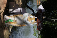 ท่องโลกสัตว์ ณ เชียงใหม่ไนท์ซาฟารี ป.1