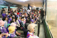 ท่องโลกสัตว์ ณ เชียงใหม่ไนท์ซาฟารี ป.1