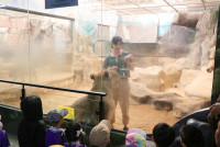 ท่องโลกสัตว์ ณ เชียงใหม่ไนท์ซาฟารี ป.1