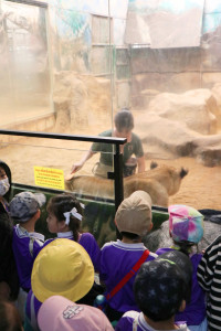 ท่องโลกสัตว์ ณ เชียงใหม่ไนท์ซาฟารี ป.1