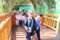 ท่องโลกสัตว์ ณ เชียงใหม่ไนท์ซาฟารี ป.1