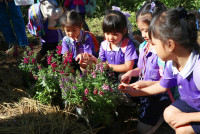 Omakase flowers อ.2 / 2568 