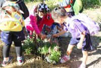 Omakase flowers อ.2 / 2568 