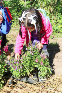 Omakase flowers อ.2 / 2568 