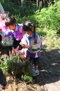 Omakase flowers อ.2 / 2568 