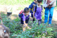 Omakase flowers อ.2 / 2568 