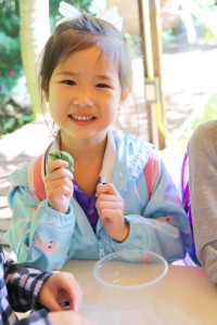 Omakase flowers อ.2 / 2568 