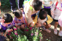 Omakase flowers อ.2 / 2568 