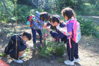 Omakase flowers อ.2 / 2568 