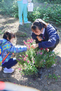 Omakase flowers อ.2 / 2568 