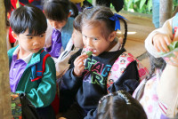 Omakase flowers อ.2 / 2568 