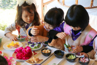 Omakase flowers อ.2 / 2568 