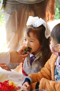 Omakase flowers อ.2 / 2568 