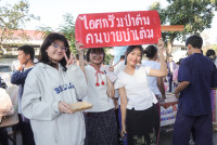 ม่วนงันล้านนา 2568