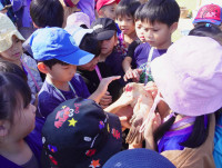 เด็กยุคใหม่เรียนรู้วิถีไทย ป.1 / 2568 