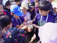 เด็กยุคใหม่เรียนรู้วิถีไทย ป.1 / 2568 