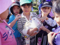 เด็กยุคใหม่เรียนรู้วิถีไทย ป.1 / 2568 