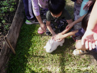 เด็กยุคใหม่เรียนรู้วิถีไทย ป.1 / 2568 