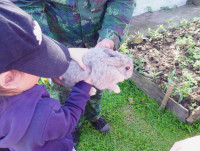 เด็กยุคใหม่เรียนรู้วิถีไทย ป.1 / 2568 