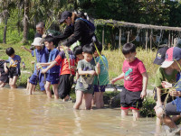 เด็กยุคใหม่เรียนรู้วิถีไทย ป.1 / 2568 