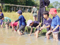 เด็กยุคใหม่เรียนรู้วิถีไทย ป.1 / 2568 