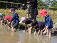 เด็กยุคใหม่เรียนรู้วิถีไทย ป.1 / 2568 