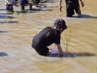 เด็กยุคใหม่เรียนรู้วิถีไทย ป.1 / 2568 