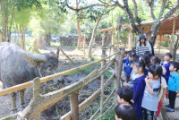 Little Farmer สำหรับนักเรียนชั้น อ.1/2568